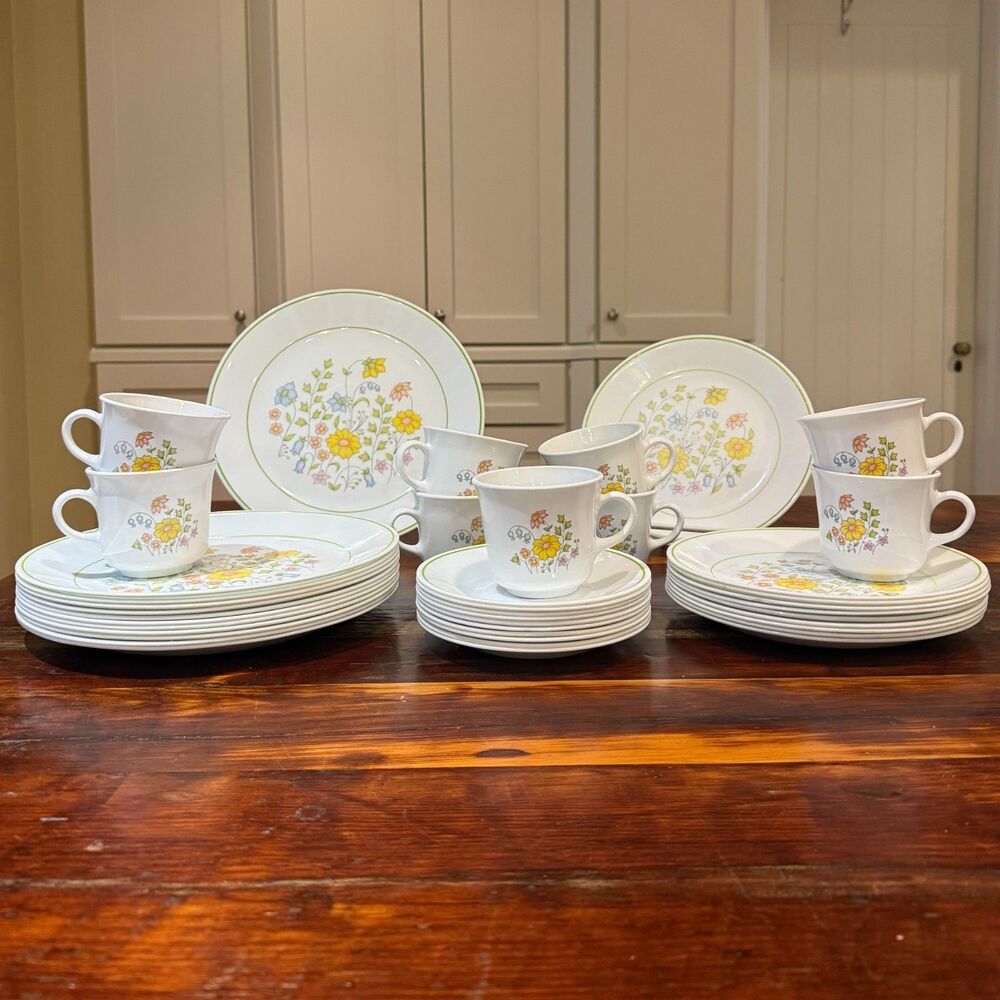 Vintage Corelle  Meadow  43-Piece Dinnerware Set